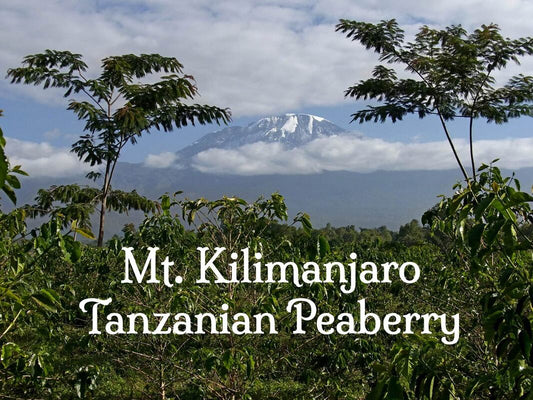 Coffee from the Slopes of Mount Kilimanjaro