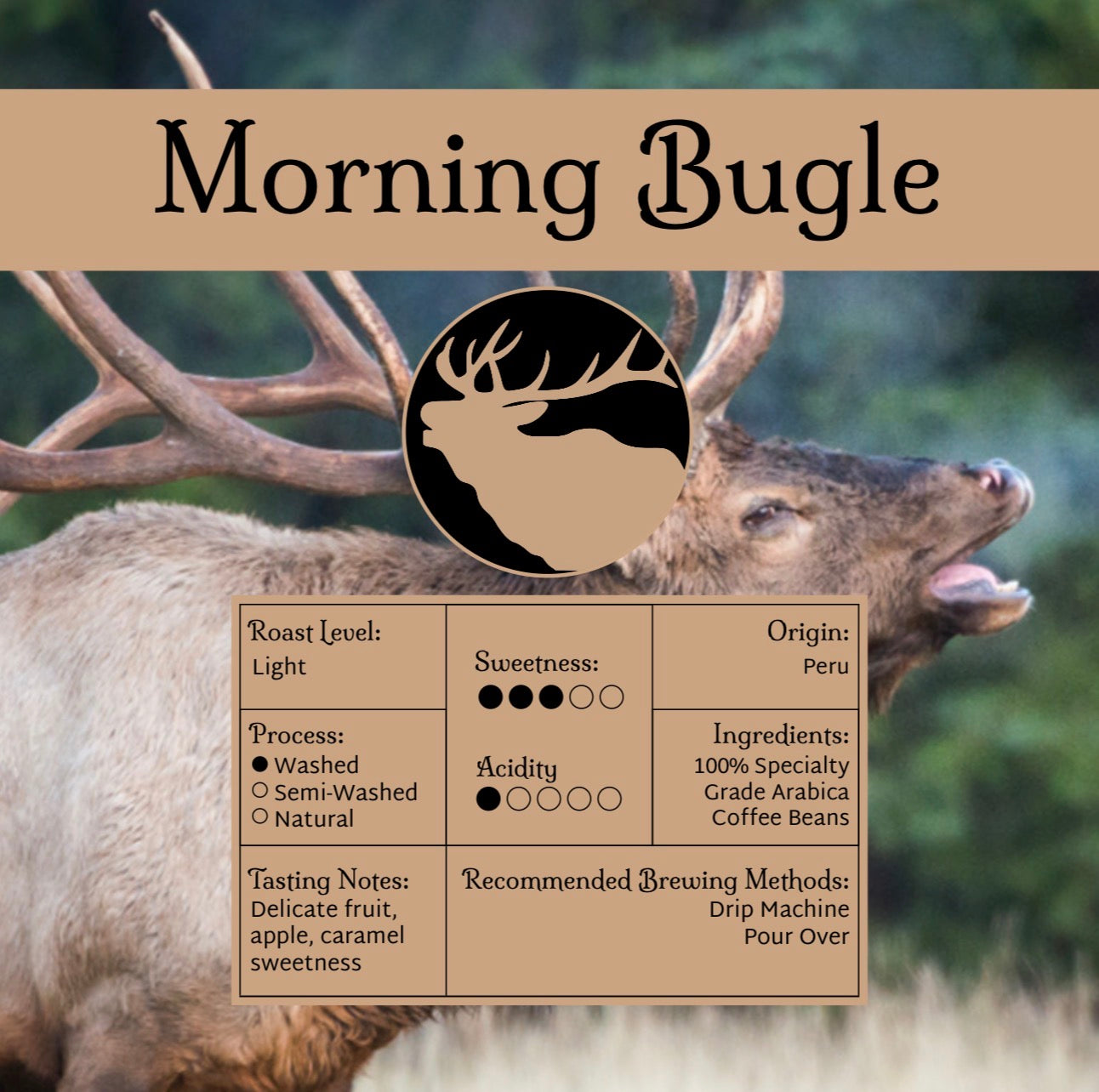 Morning Bugle Morning Bugle