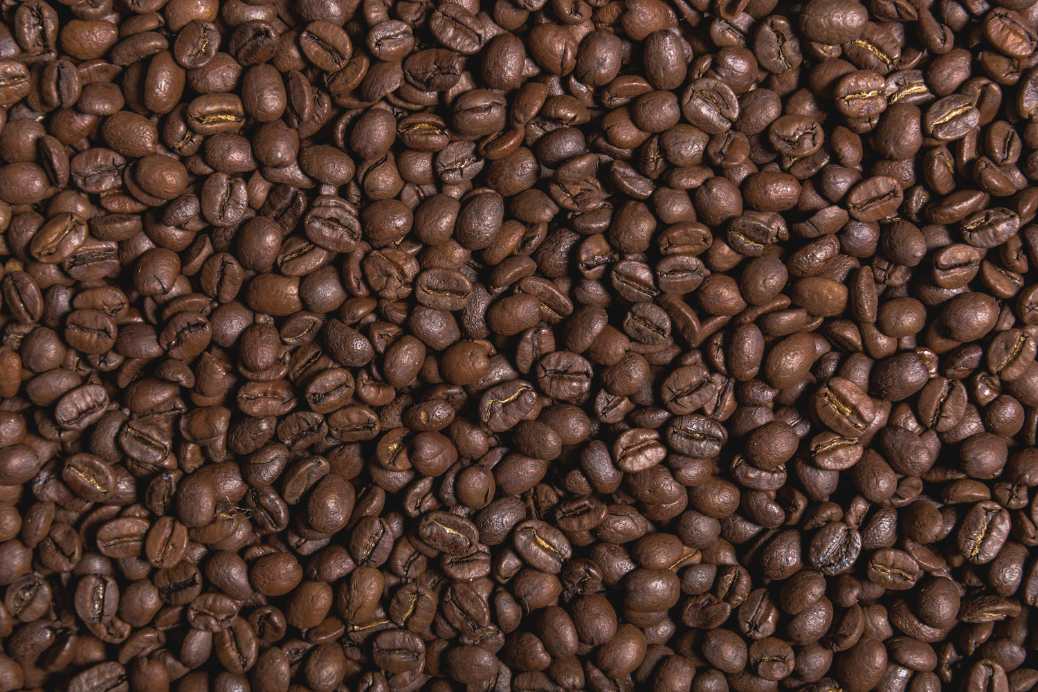 Roasted coffee beans