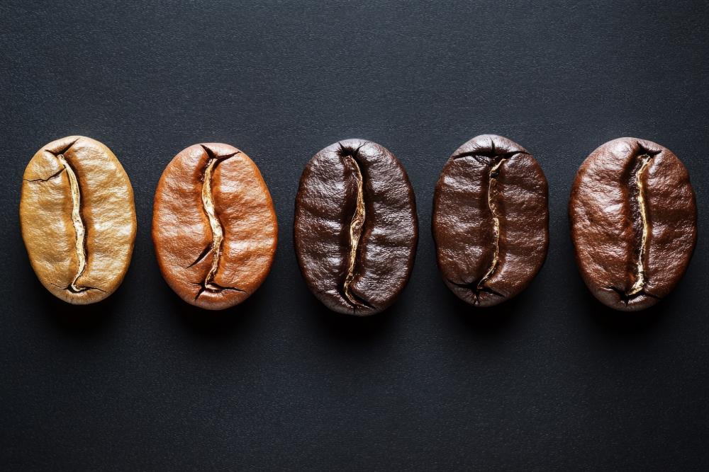 Light vs. Dark Roast Explained: What You’re Actually Tasting in Every Cup