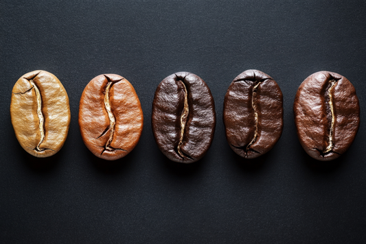 Light vs. Dark Roast Explained: What You’re Actually Tasting in Every Cup