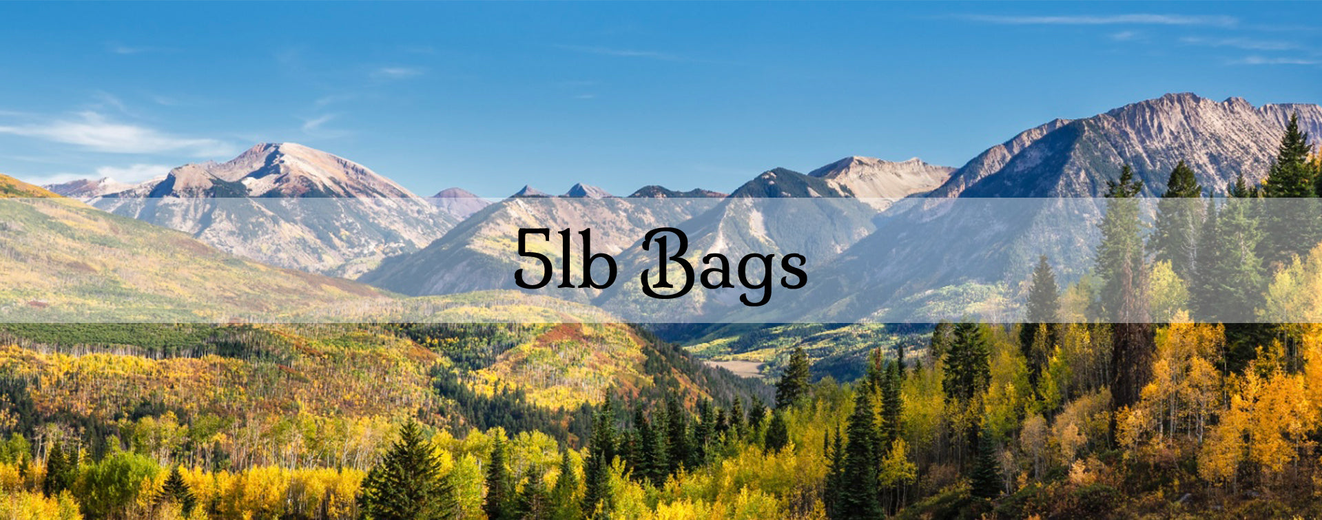 5lb Bags – Snowy Elk Coffee Co.