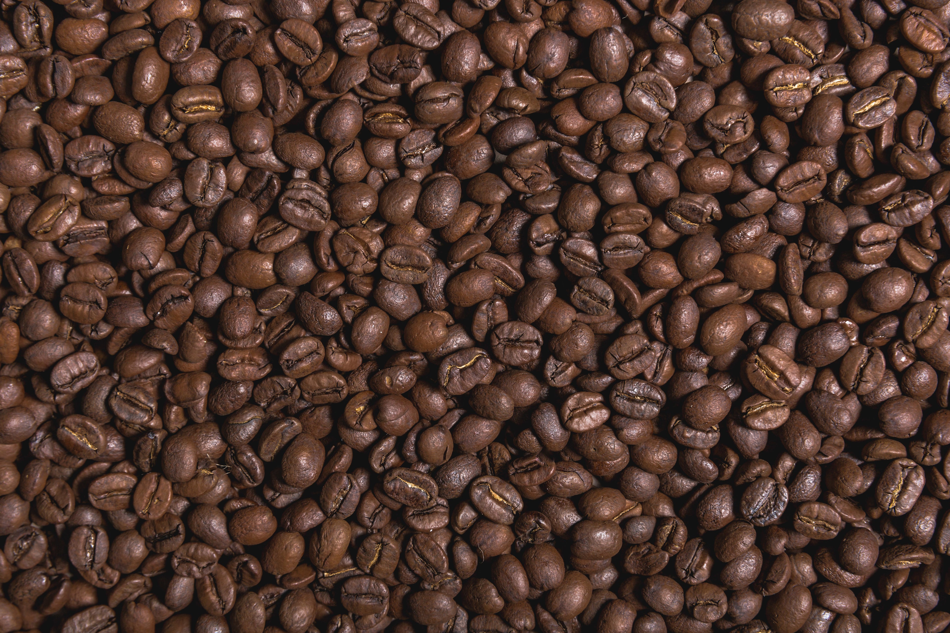 Roasted coffee beans